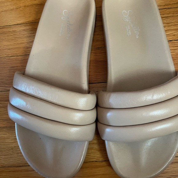 Seychelles - Picture 4 of 4